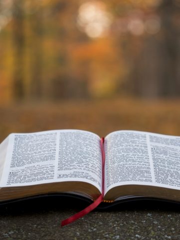 Photo by Aaron Burden bible page on gray concrete surface